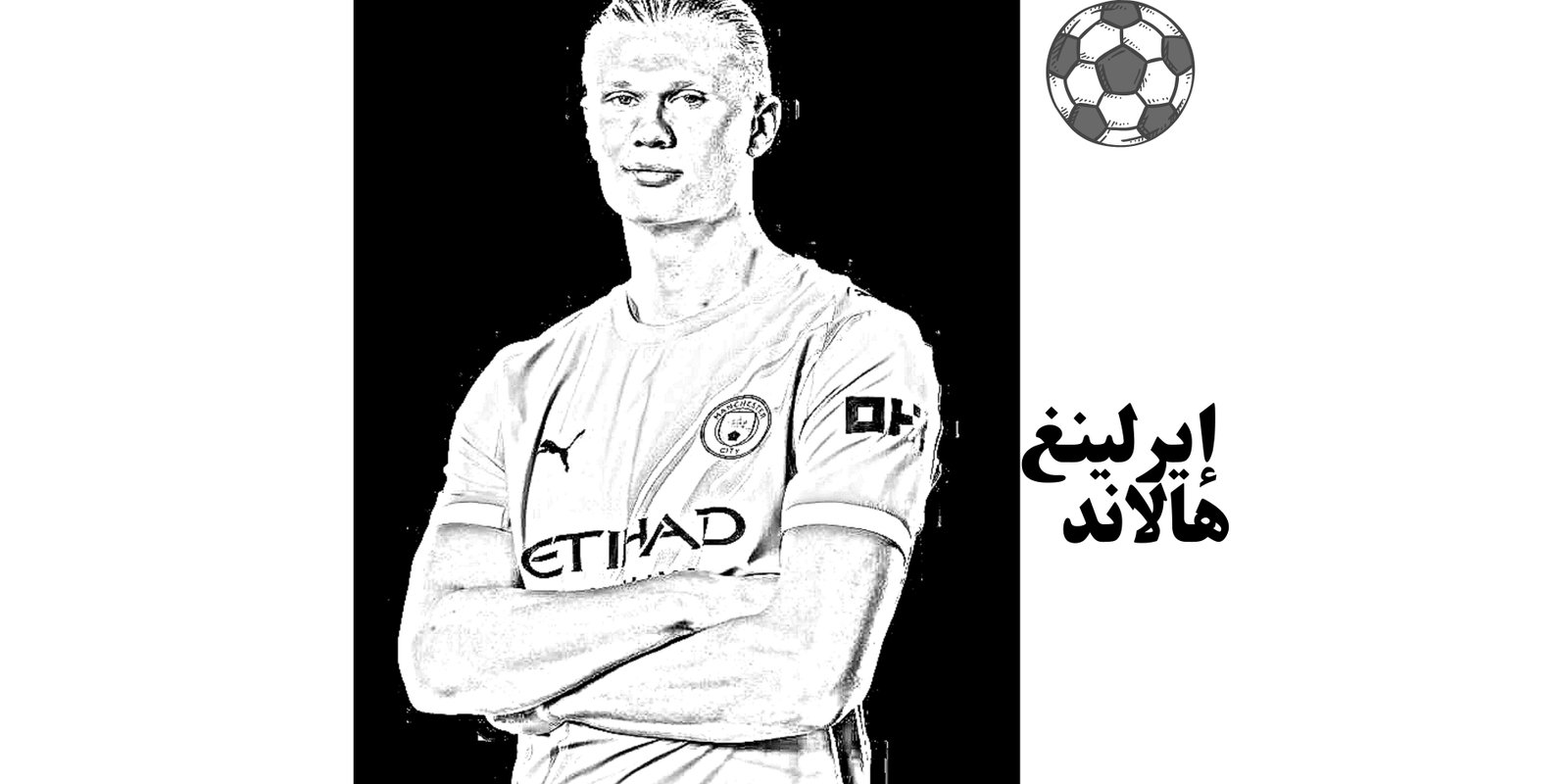 صورة المقال